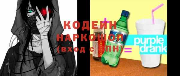 стаф Бородино