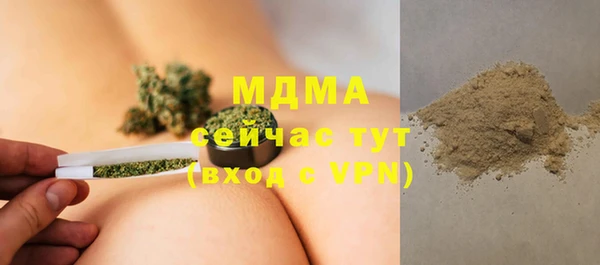 стаф Бородино