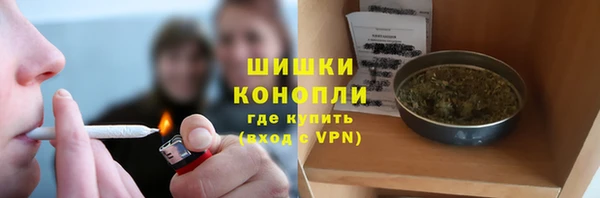 стаф Бородино