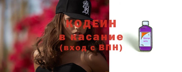 стаф Бородино