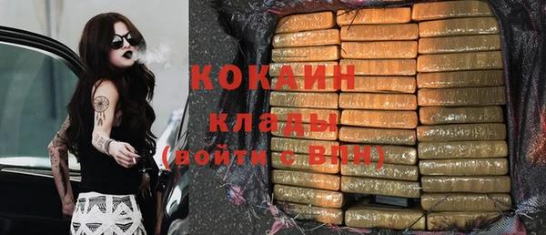 стаф Бородино