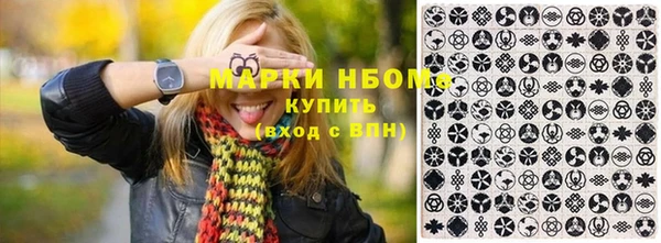 стаф Бородино