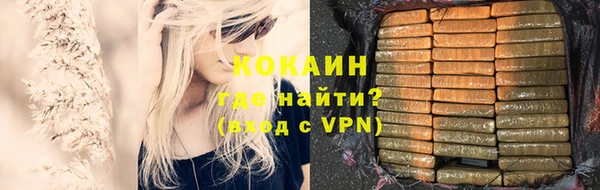 стаф Бородино