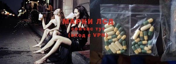 стаф Бородино