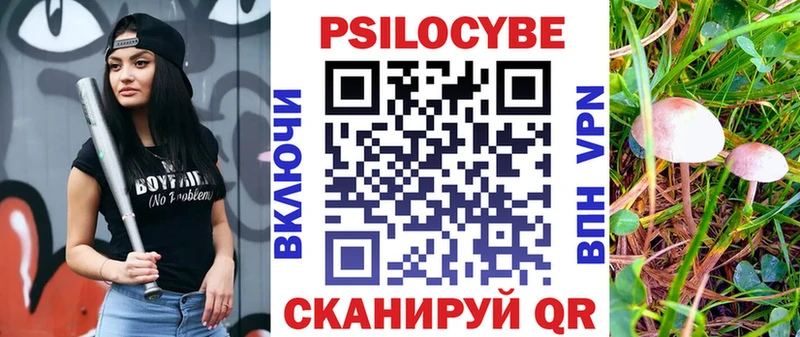 Псилоцибиновые грибы Magic Shrooms  магазин продажи наркотиков  Княгинино 